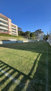 Campo